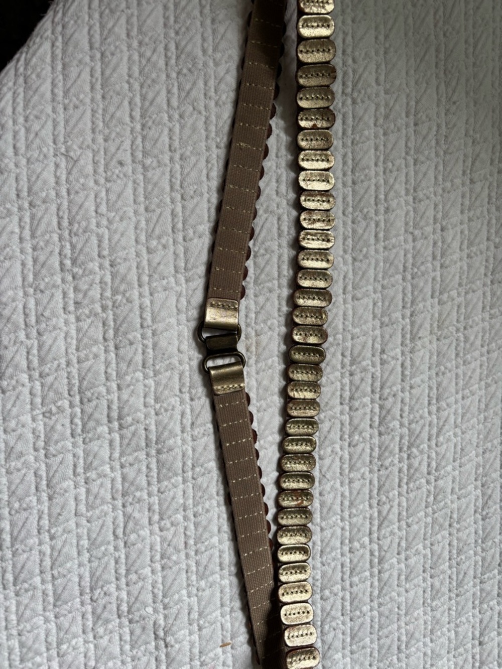 Neutral Brown and Gold Women's Adjustable Strap with Metallic Accent